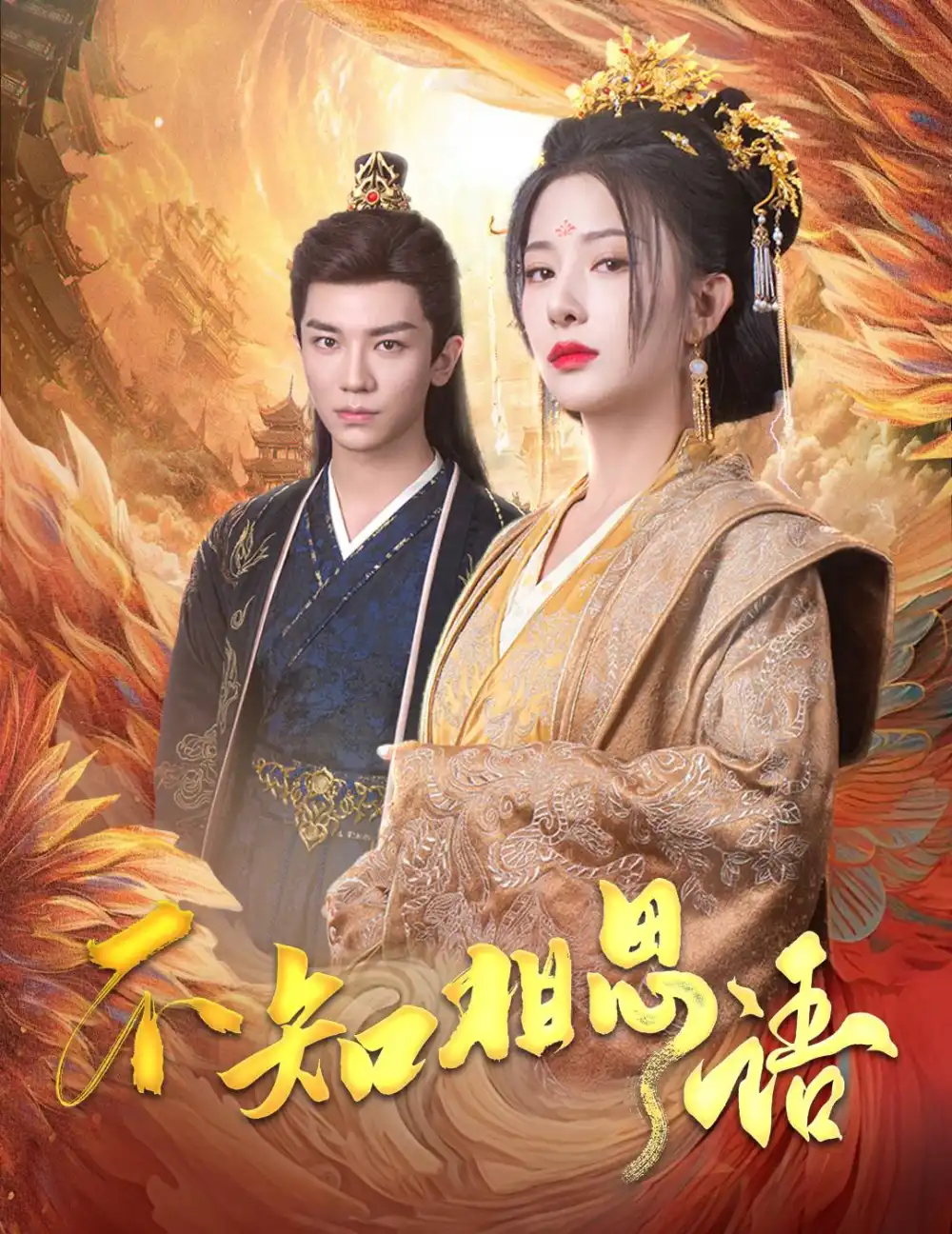 不知相思语 风起相府(全集)