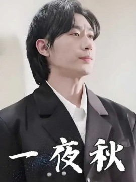 一夜秋 陆少宠妻如命(全集)