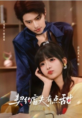 契约盲夫有点甜(全集)