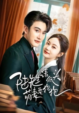 陆先生请低头萌妻要抱抱(全集)